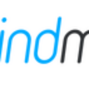 Meisterlabs MindMeister Business (подписка на 1 год), Personal
