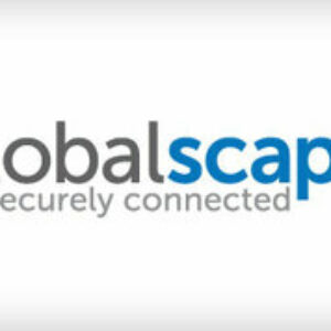 GlobalSCAPE Globalscape BAM (лицензия ), Enterprise development