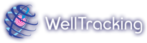 scale-dec-294x294-31.png Dataeast WellTracking (однопользовательская лицензия), Лицензия Standard — изображение 1