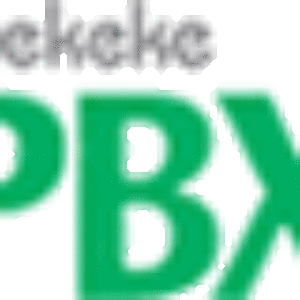 Brekeke Software, Inc. Лицензия Brekeke PBX 3 x Options, PAL