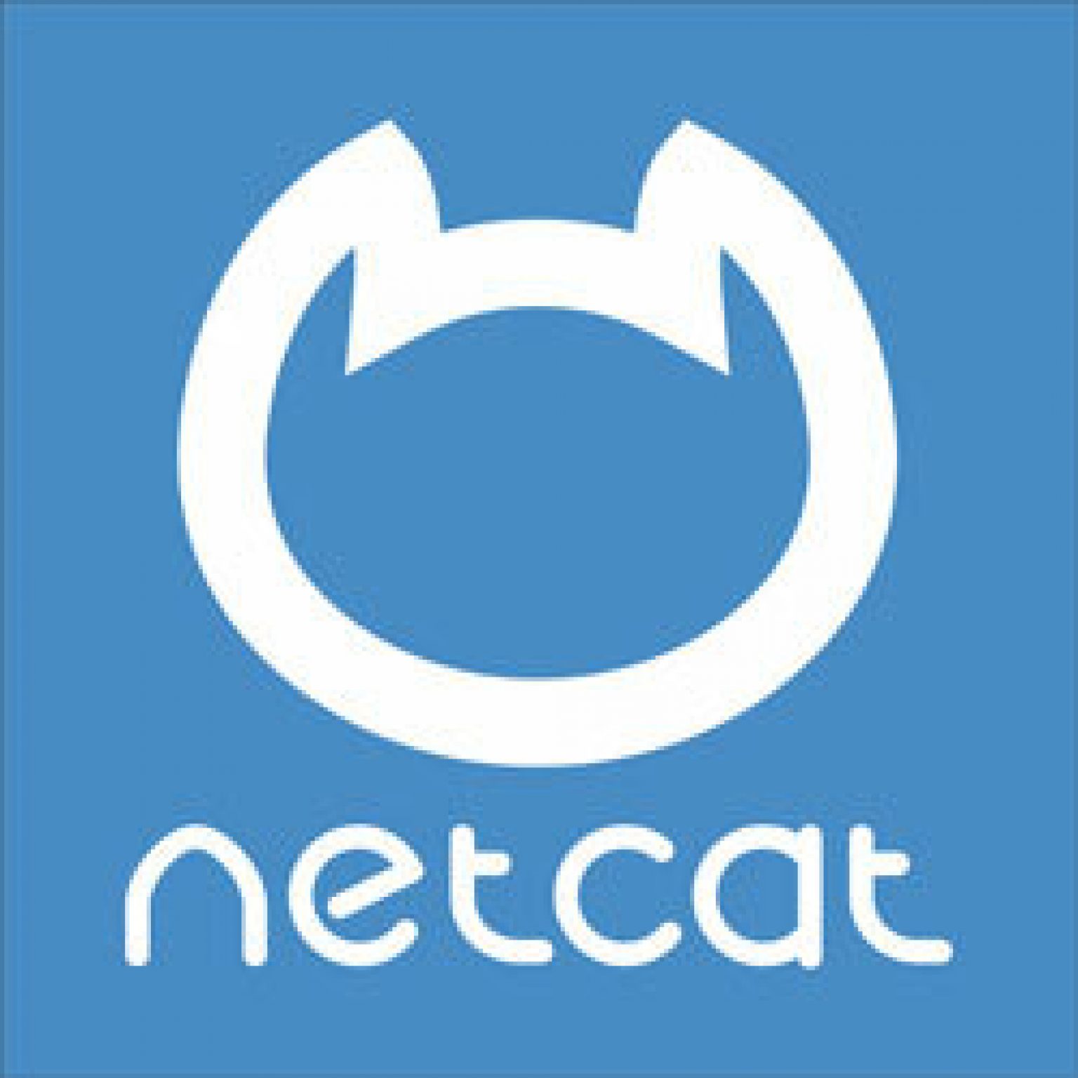 Netcat admin. Netcat. Netcat logo. Netcat cms. PNG netcat.