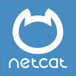 scale-dec-294x294-516.jpg NetCat (лицензия), Версия Extra — изображение 1