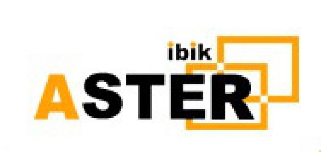 Ibik АСТЕР Professional (бессрочная лицензия), АСТЕР Professional-2 (версия для 2 пользователей) Ibik АСТЕР Professional (бессрочная лицензия), АСТЕР Professional-2 (версия для 2 пользователей)