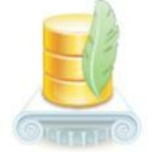 Devart LiteDAC Professional (лицензии), Лицензия Single + подписка на обновления и техподдержку в течение 3 лет