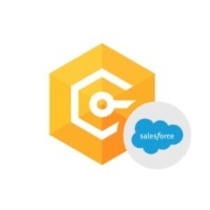 Devart dotConnect for Salesforce Marketing Cloud (лицензия Professional), Лицензия + подписка на обновления и техподдержку в течение 1 года