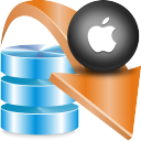 scale-dec-294x294-695.png WhiteTown Software Database Converters for OS X (лицензия Business) — изображение 1