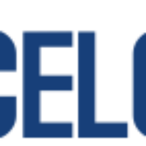 Celoxis (лицензия Cloud на 1 пользователя на 1 месяц), с оплатой 1 раз в два года