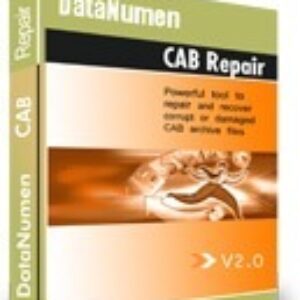 DataNumen Inc. CAB Repair (лицензия)