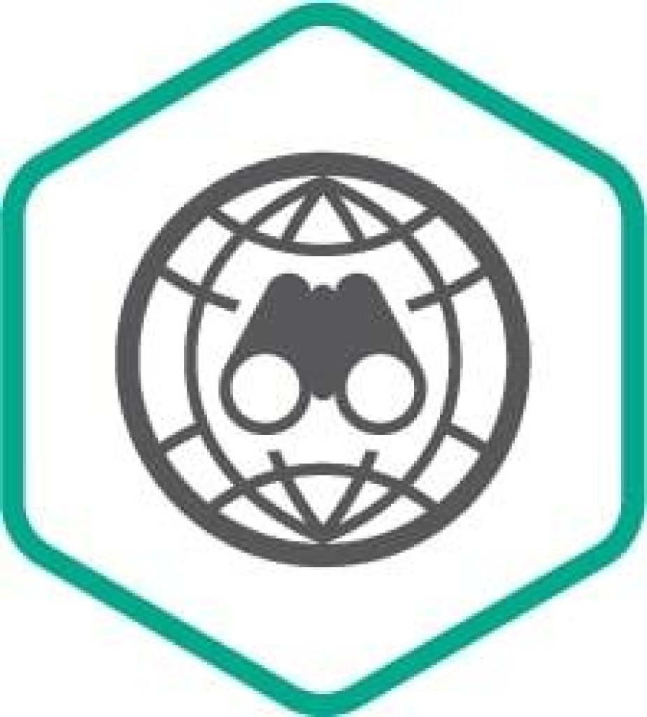 Аналитические отчеты об APT-Угрозах, Основные результаты расследований (лицензия), на 1 год