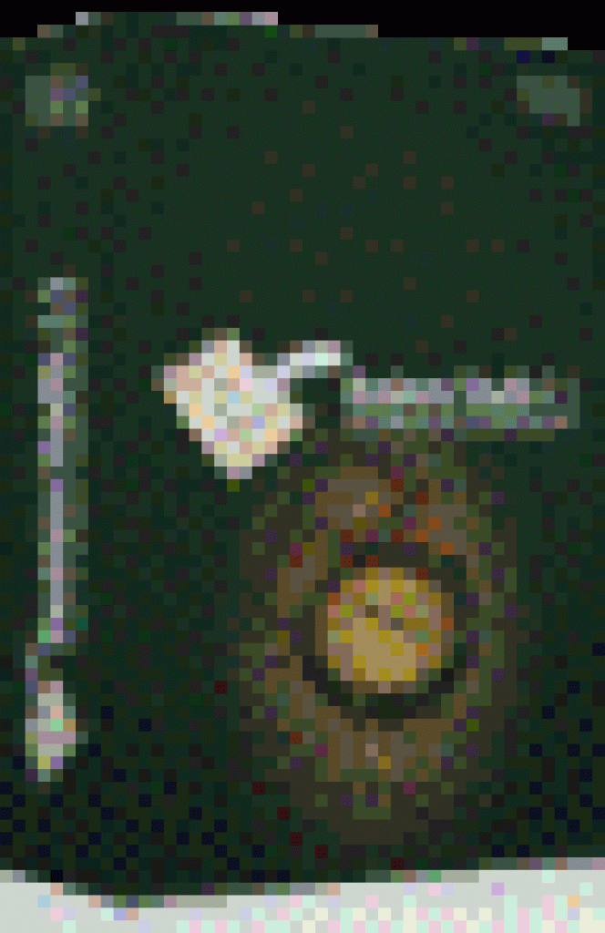 Business Studio (лицензия 5.0 Professional), Персональная лицензия