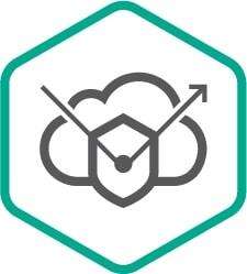 Kaspersky DDoS Protection (Certified media Pack)