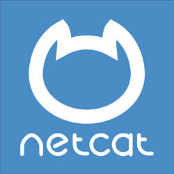 NetCat (лицензия), Версия Standard NetCat (лицензия), Версия Standard
