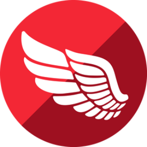 Embarcadero RAD Server (лицензии), Лицензия Multi-Site