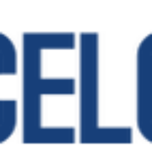 Celoxis (лицензия On-Premise на 1 пользователя)
