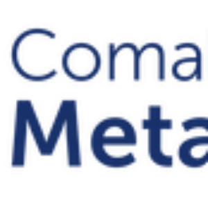 Comala Technology Solutions, Inc. Comala Metadata (версия Data Center на 1 год), 500 пользователей