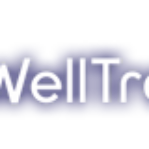 Dataeast WellTracking (однопользовательская лицензия), Лицензия Basic