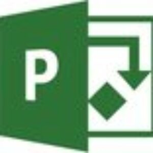 Microsoft Project Professional 2021