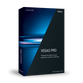 VEGAS Professional 15