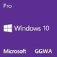 Microsoft Windows 10 Pro (GGWA)