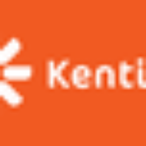 Kentico EMS в Ульяновске