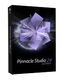 Corel Pinnacle Studio 24