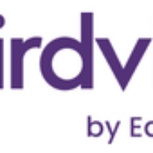Logic Software, Inc. Birdview Projects (версия Enterprise на 1 месяц), стоимость 1 лицензии