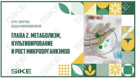 ООО «Корпоративные системы Плюс» Электронный курс Общая микробиология ГЛАВА 2, Метаболизм, культивирование и рост микроорганизмов (лицензия), Сетевая